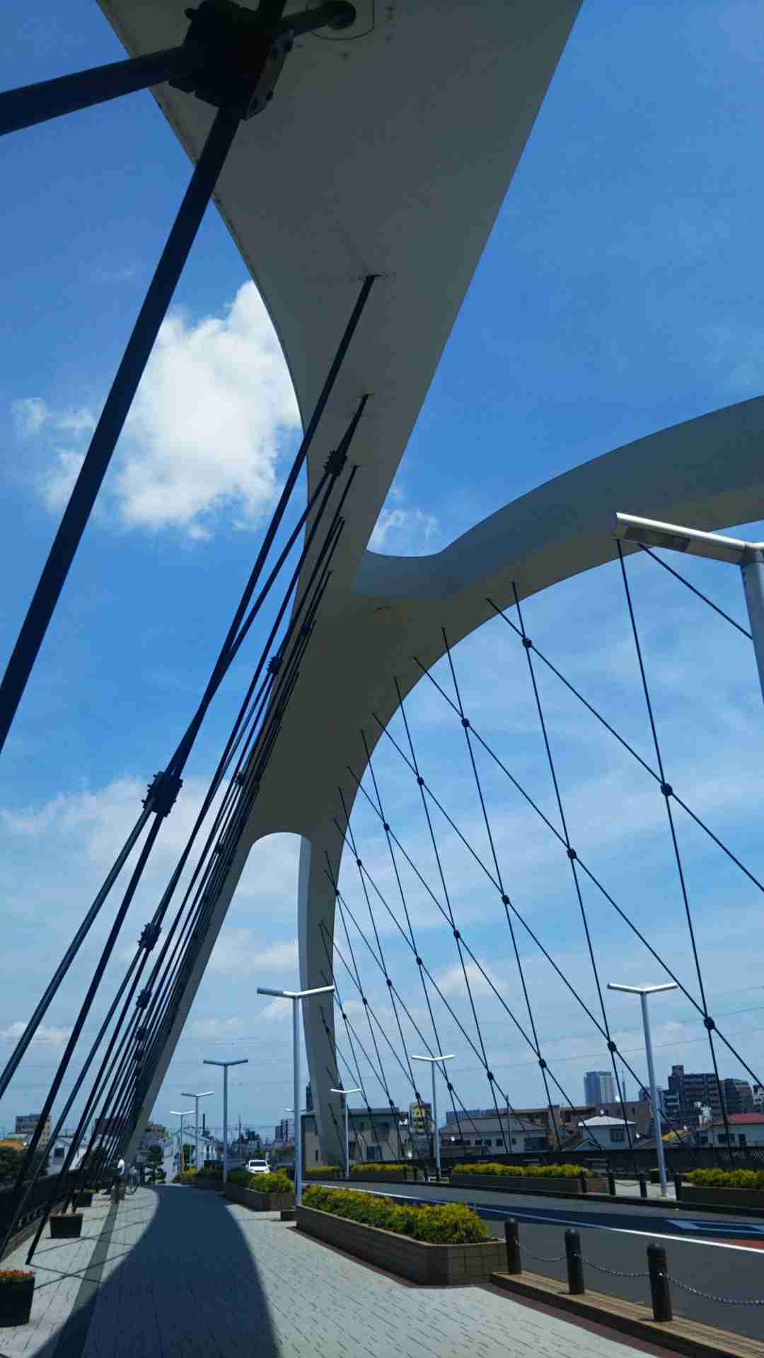 ぼっちcafé / まったりトーク【10号店】