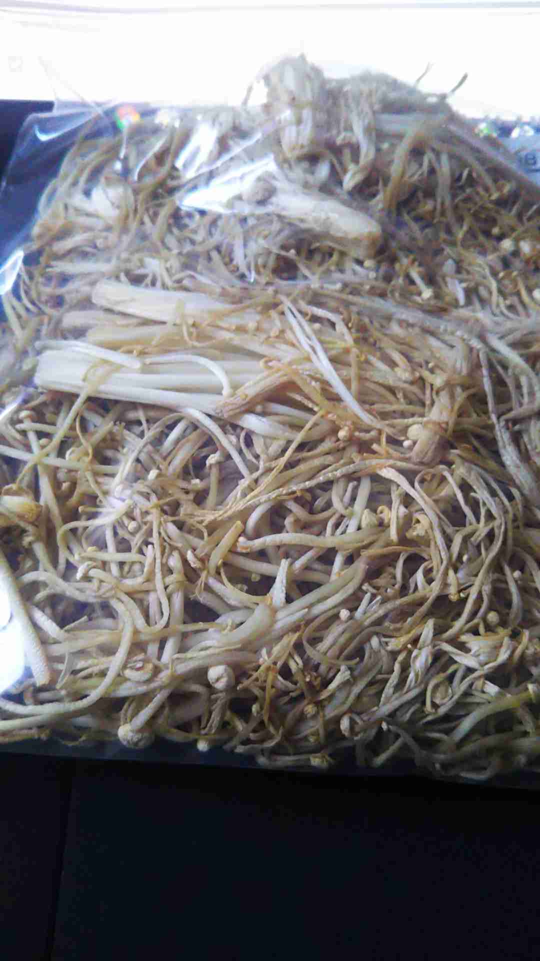 ぼっちcafé / まったりトーク【10号店】