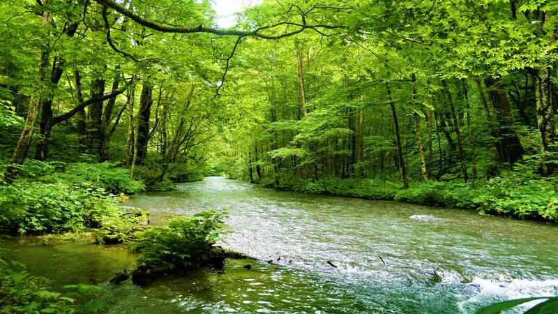 ぼっちcafé / まったりトーク【10号店】