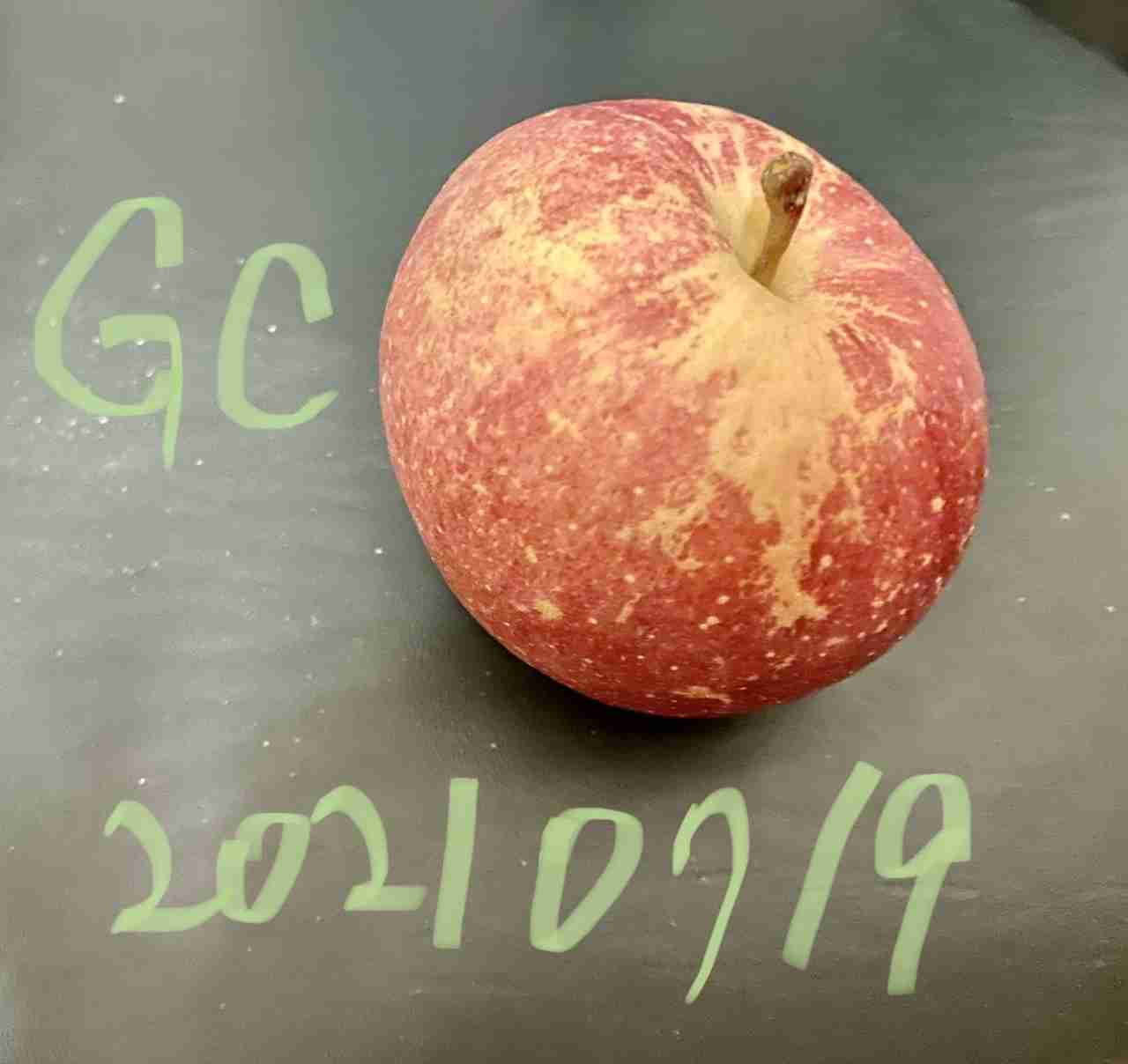 ぼっちcafé / まったりトーク【10号店】