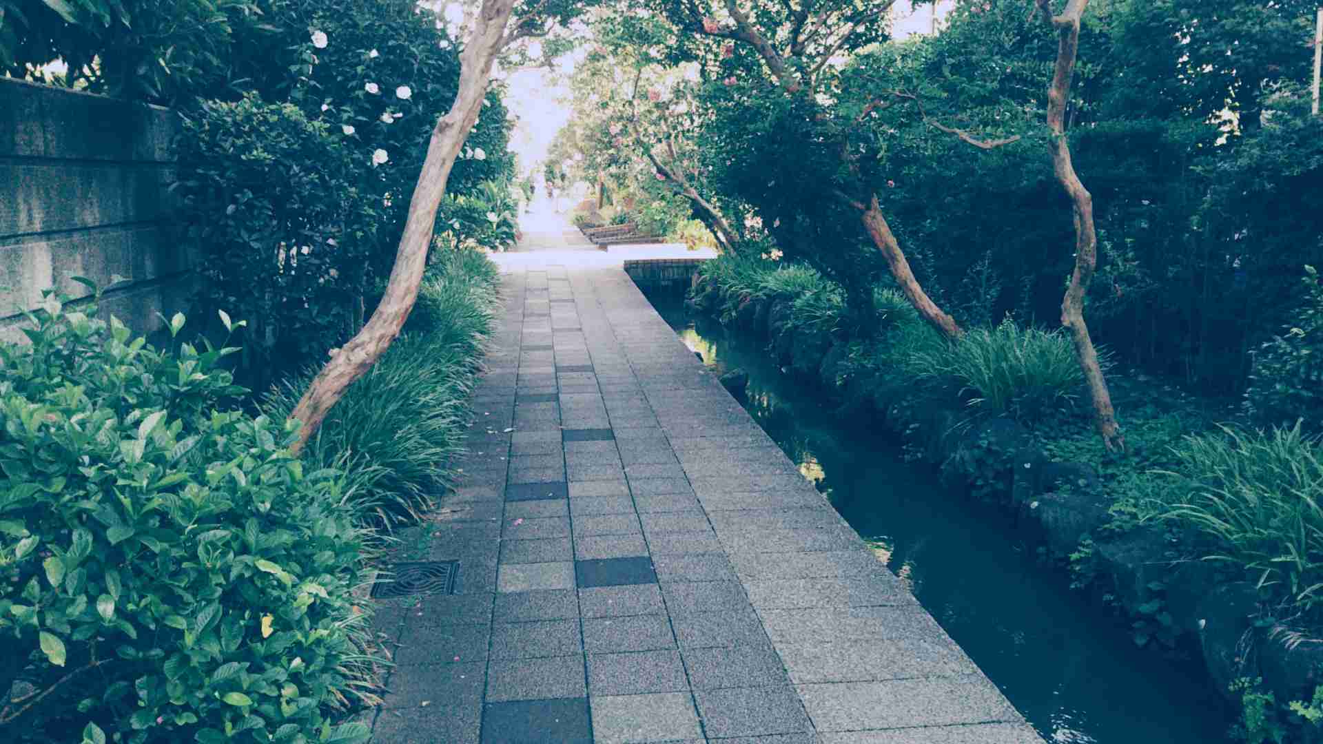 ぼっちcafé / まったりトーク【10号店】