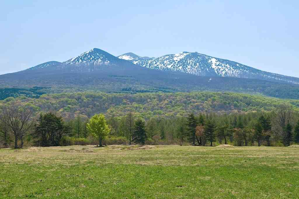 ぼっちcafé / まったりトーク【10号店】