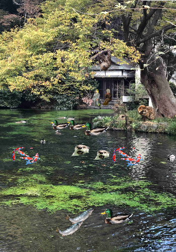 新型コロナ 東京都で新たに830人の感染確認