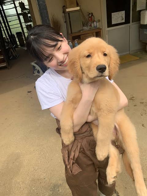 乃木坂大園桃子が9・4芸能界引退「幸せとつらさの5年」ブログで卒業発表