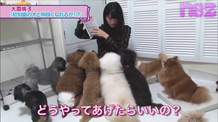 乃木坂大園桃子が9・4芸能界引退「幸せとつらさの5年」ブログで卒業発表