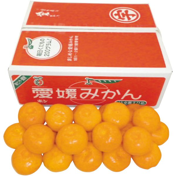 箱買いする果物ありますか？