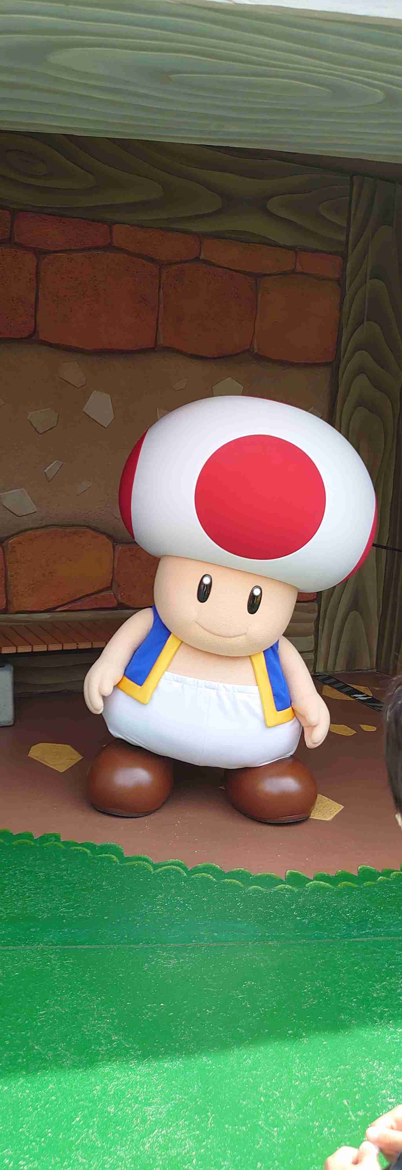 自分で撮影した画像を貼ると、優しい誰かが何かコメントしてくれるトピPart3