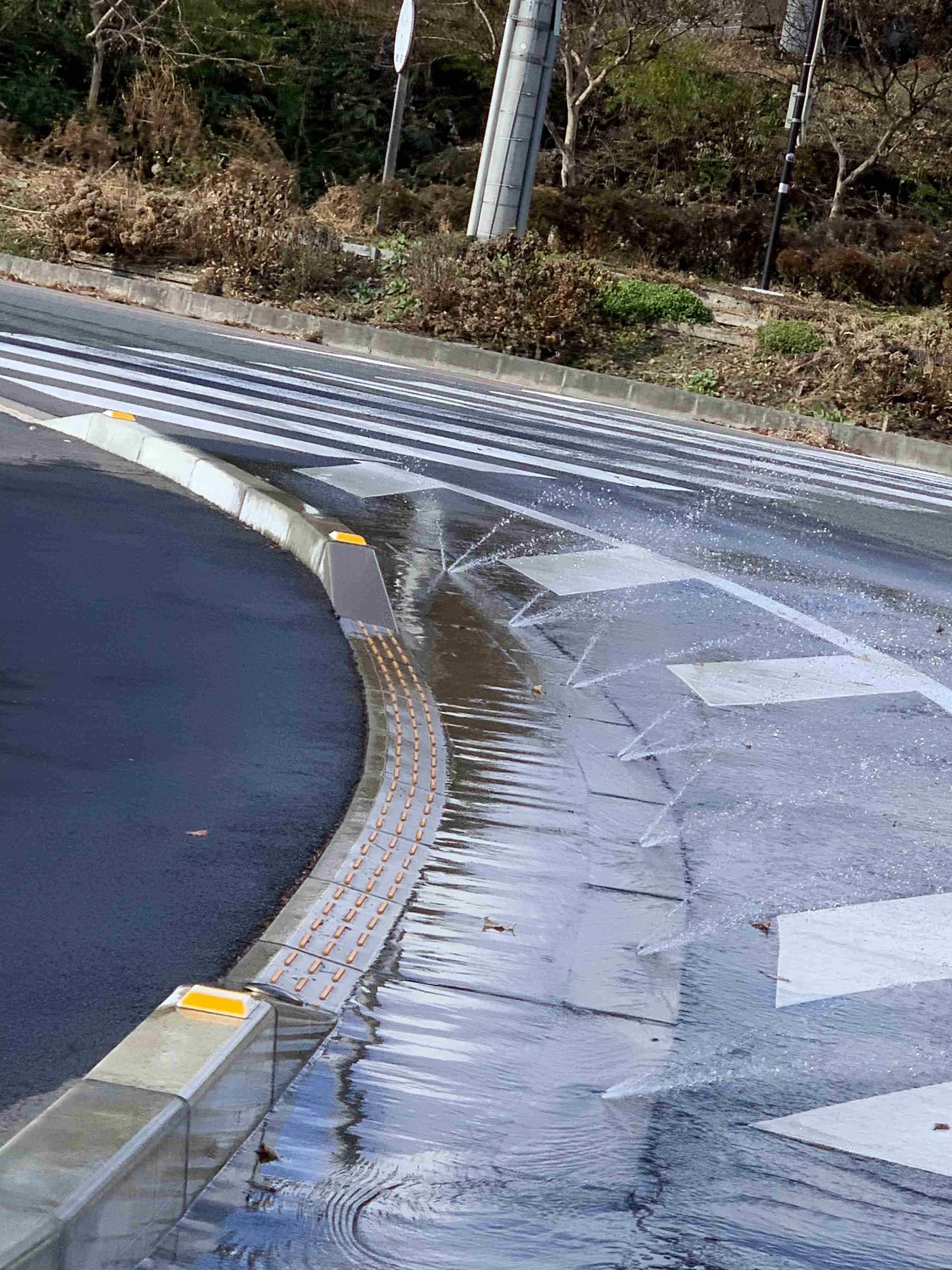 自分で撮影した画像を貼ると、優しい誰かが何かコメントしてくれるトピPart3