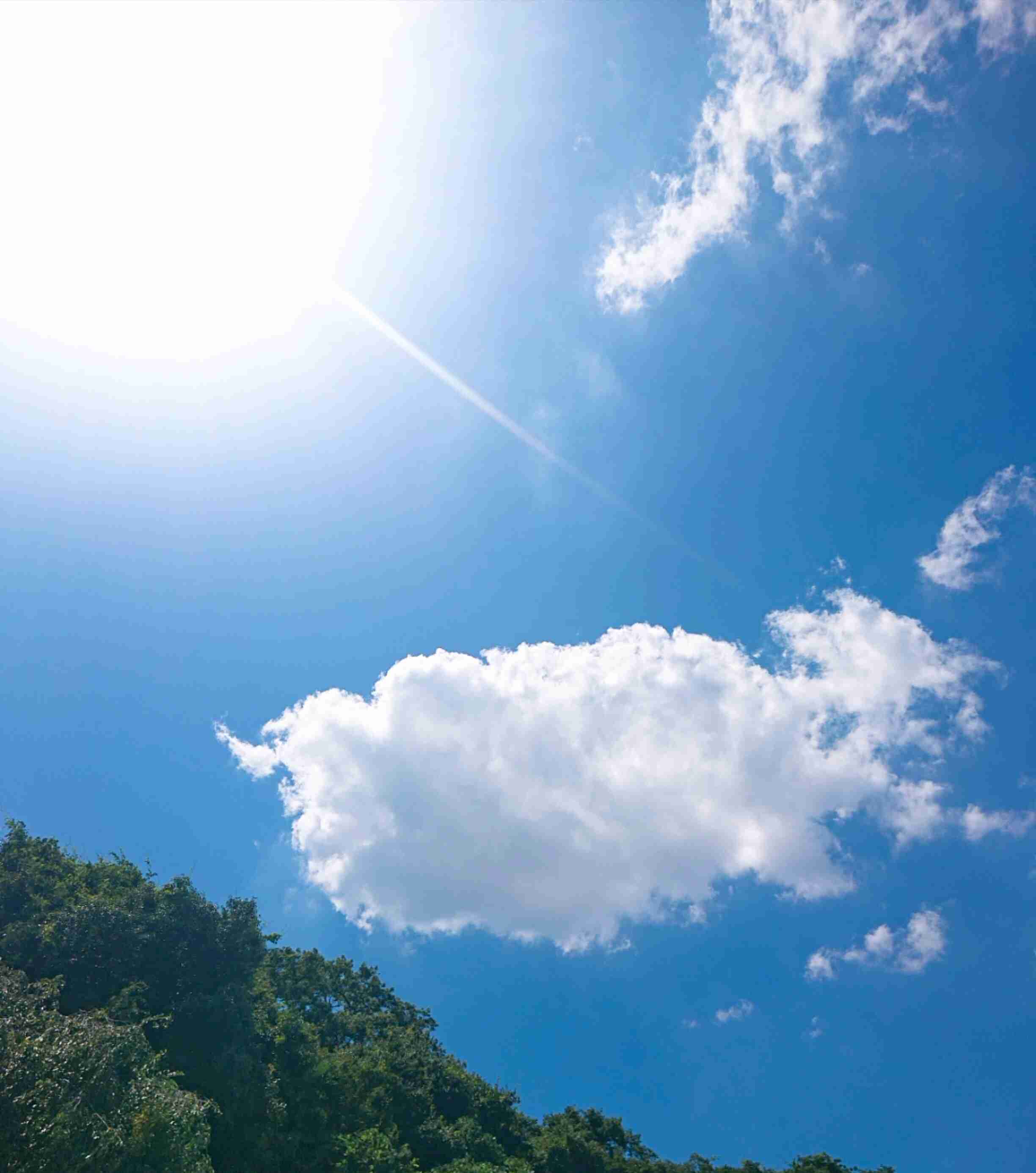 自分で撮影した画像を貼ると、優しい誰かが何かコメントしてくれるトピPart3