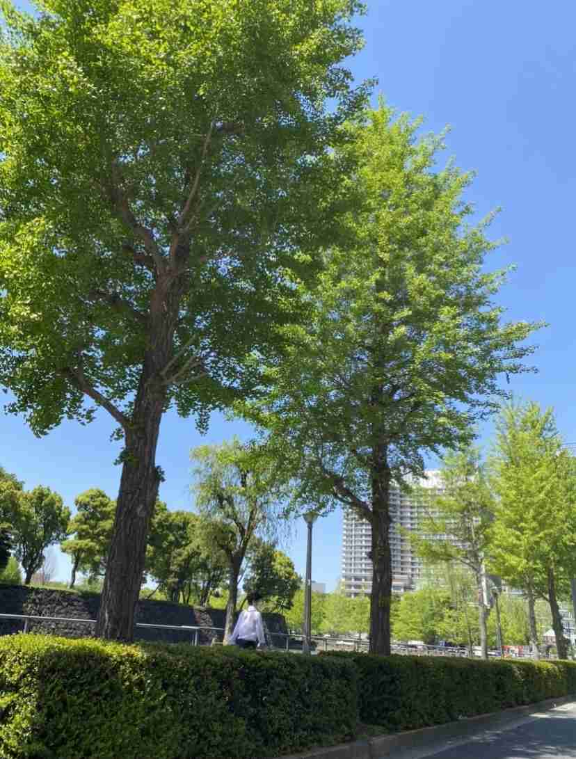 自分で撮影した画像を貼ると、優しい誰かが何かコメントしてくれるトピPart3