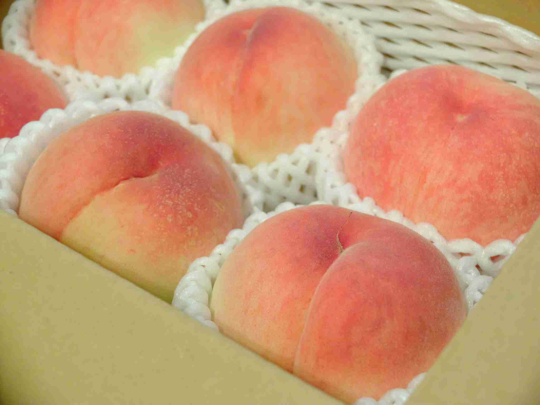 自分で撮影した画像を貼ると、優しい誰かが何かコメントしてくれるトピPart3