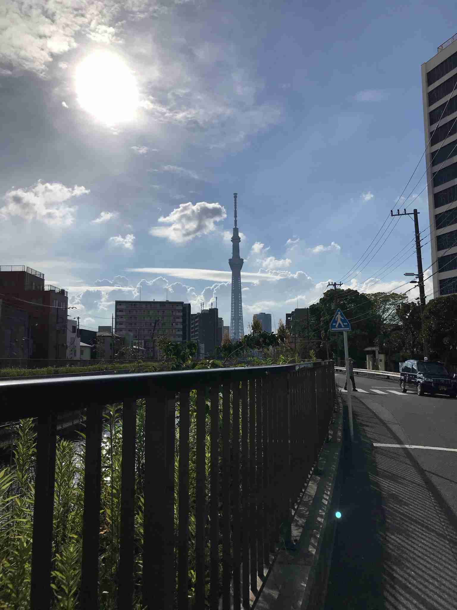 自分で撮影した画像を貼ると、優しい誰かが何かコメントしてくれるトピPart3