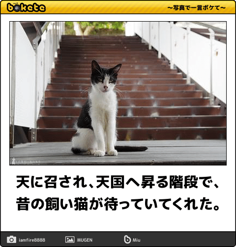 自分が死んだら誰に迎えに来て貰いたいですか？