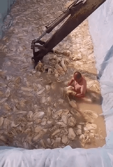 日本はこれからもっと不景気になると思いますか？