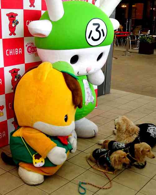 ゆるキャラの仲良しツーショット画像