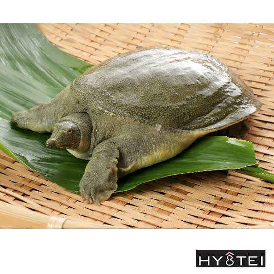 疲れた時に食べるメニュー