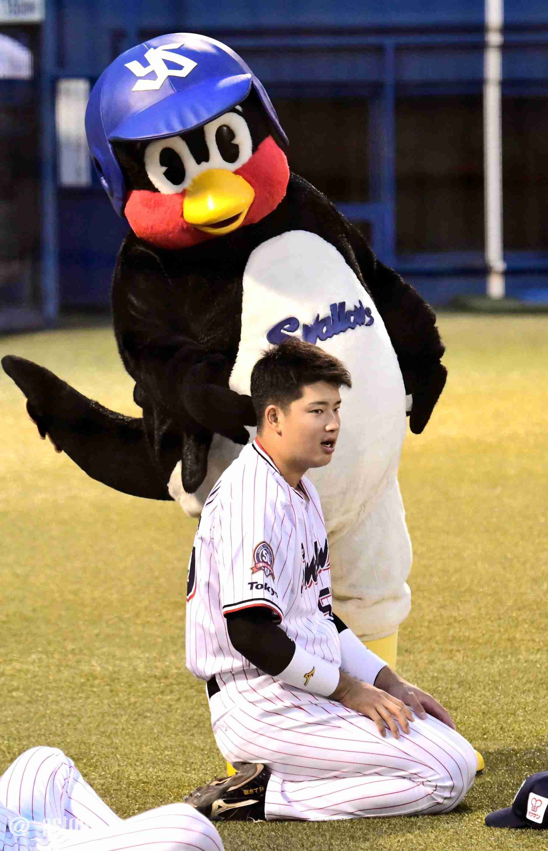 好きな.応援してる【現役】プロ野球選手
