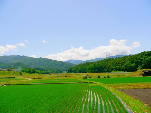 中途半端な田舎に住んでる人
