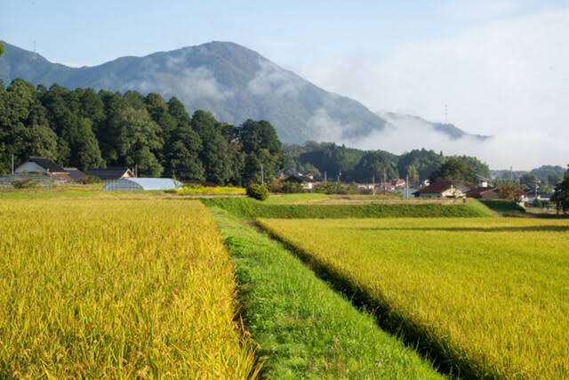 中途半端な田舎に住んでる人