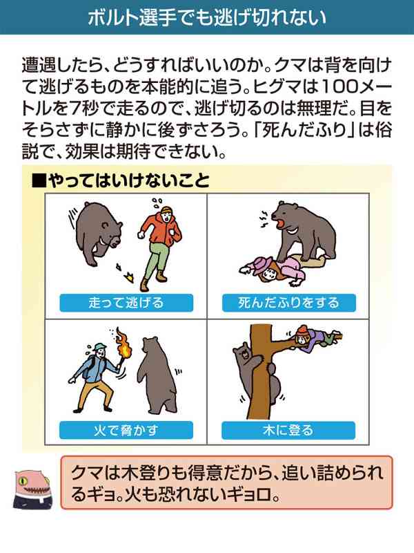 観光地の国道にヒグマ　北海道・富良野市