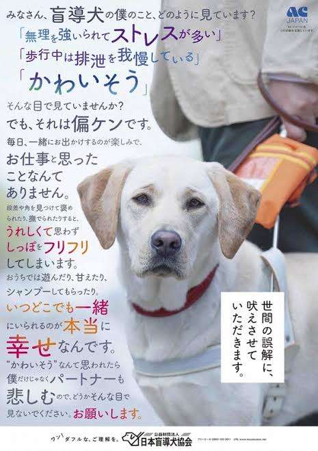 それ本当かな？と思う広告文句