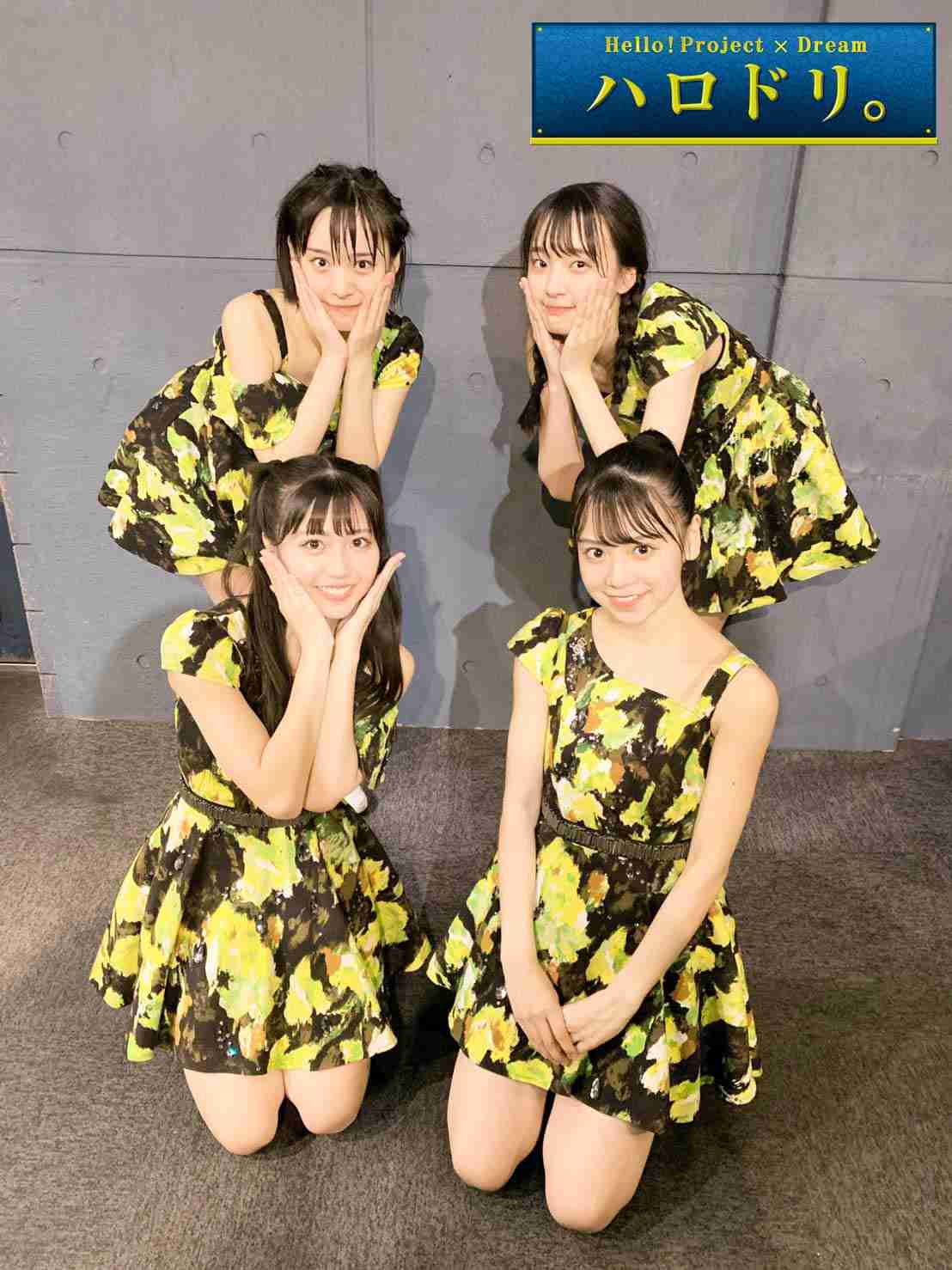 色んなハロプロの衣装が見たい