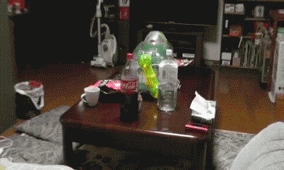 こっち見んな画像を貼るトピ