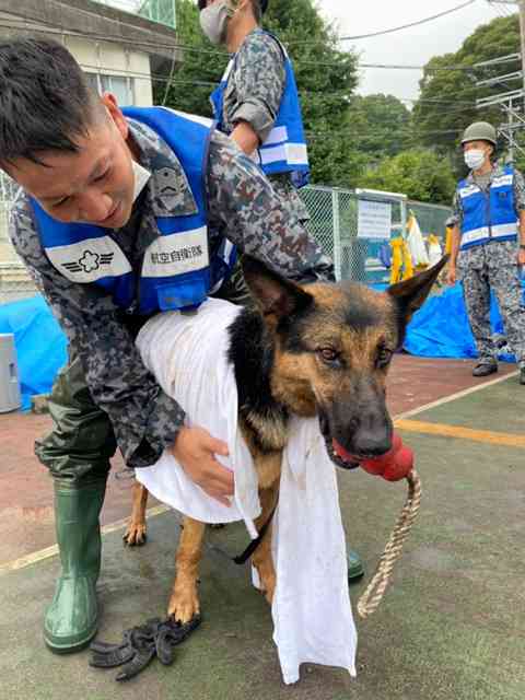 色んな警察犬、救助犬が見たい！