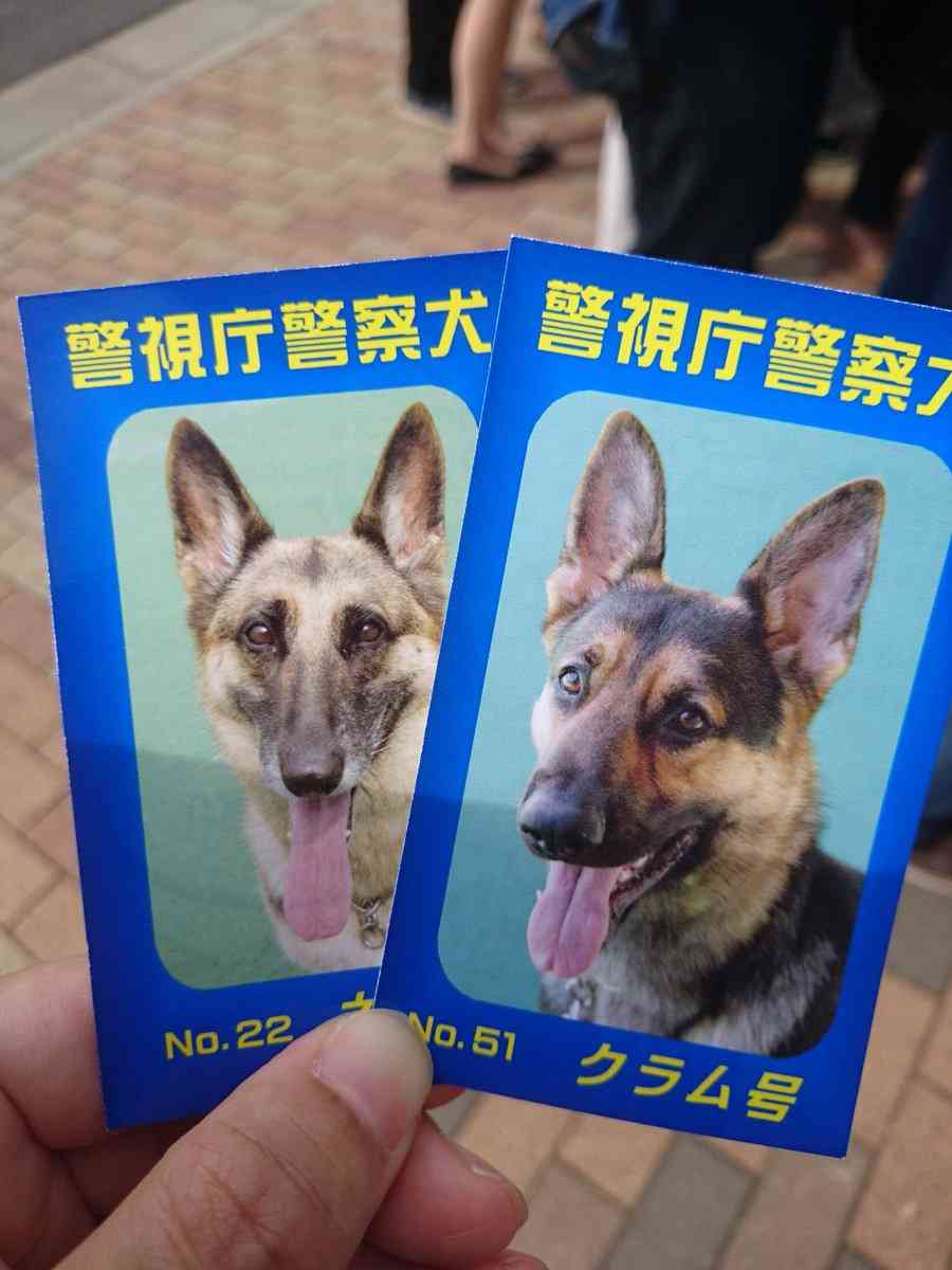 色んな警察犬、救助犬が見たい！
