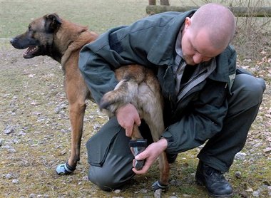 色んな警察犬、救助犬が見たい！