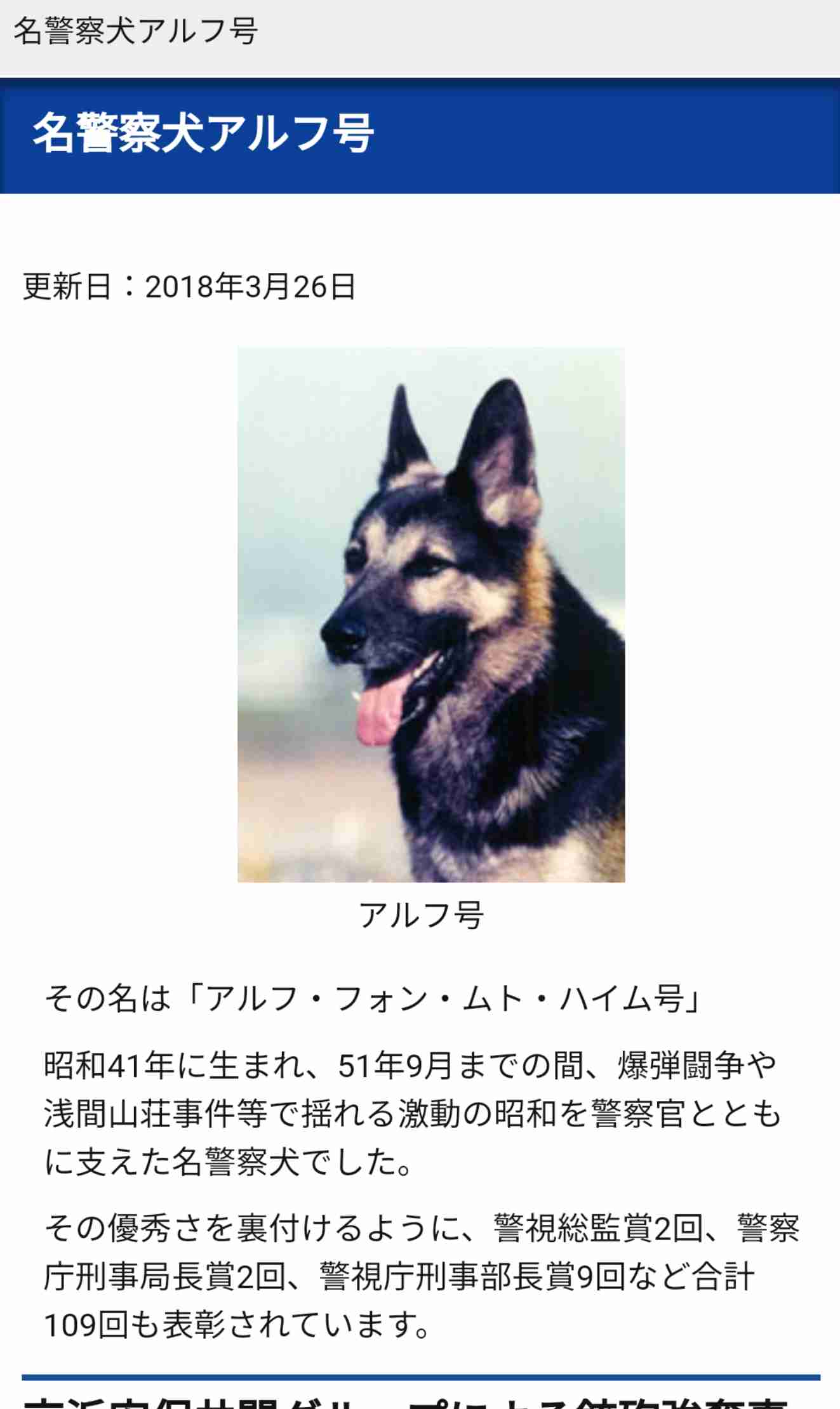 色んな警察犬 救助犬が見たい ガールズちゃんねる Girls Channel