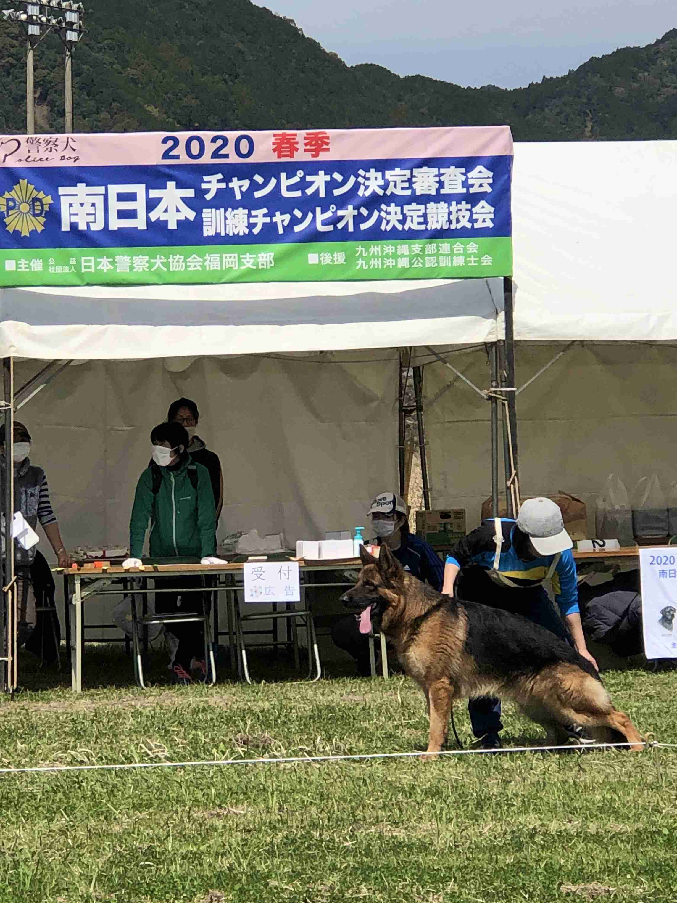 色んな警察犬、救助犬が見たい！
