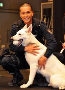 色んな警察犬、救助犬が見たい！