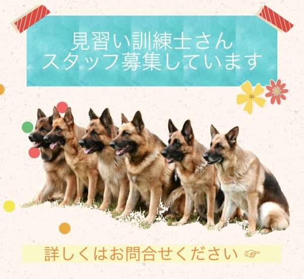 色んな警察犬、救助犬が見たい！