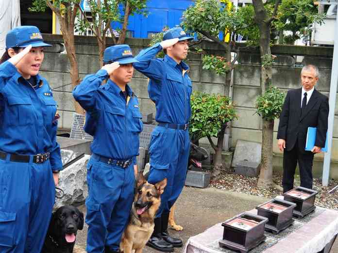 色んな警察犬、救助犬が見たい！