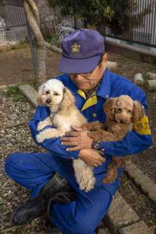 色んな警察犬、救助犬が見たい！