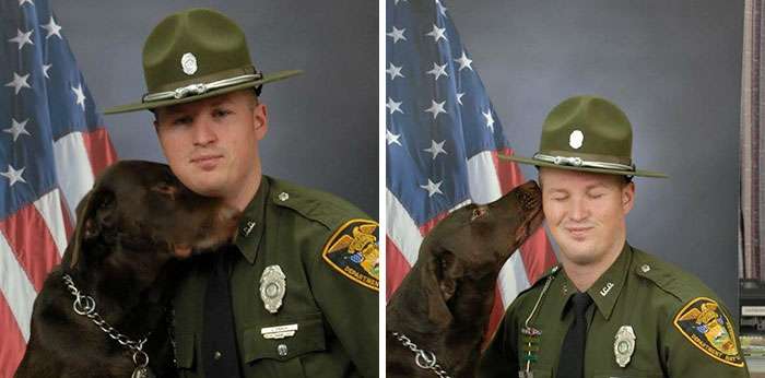 色んな警察犬、救助犬が見たい！