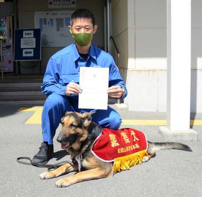 色んな警察犬、救助犬が見たい！