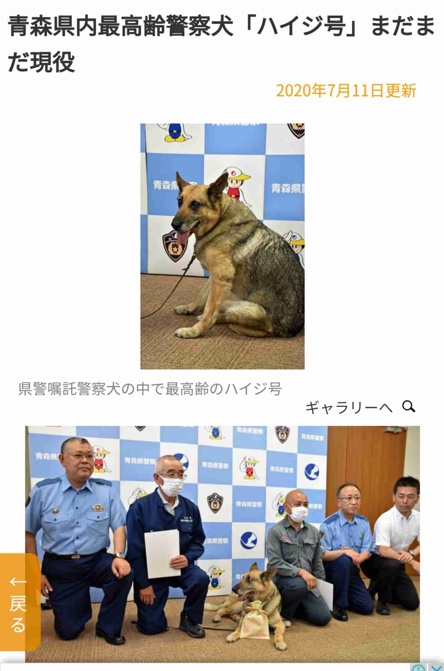 色んな警察犬、救助犬が見たい！