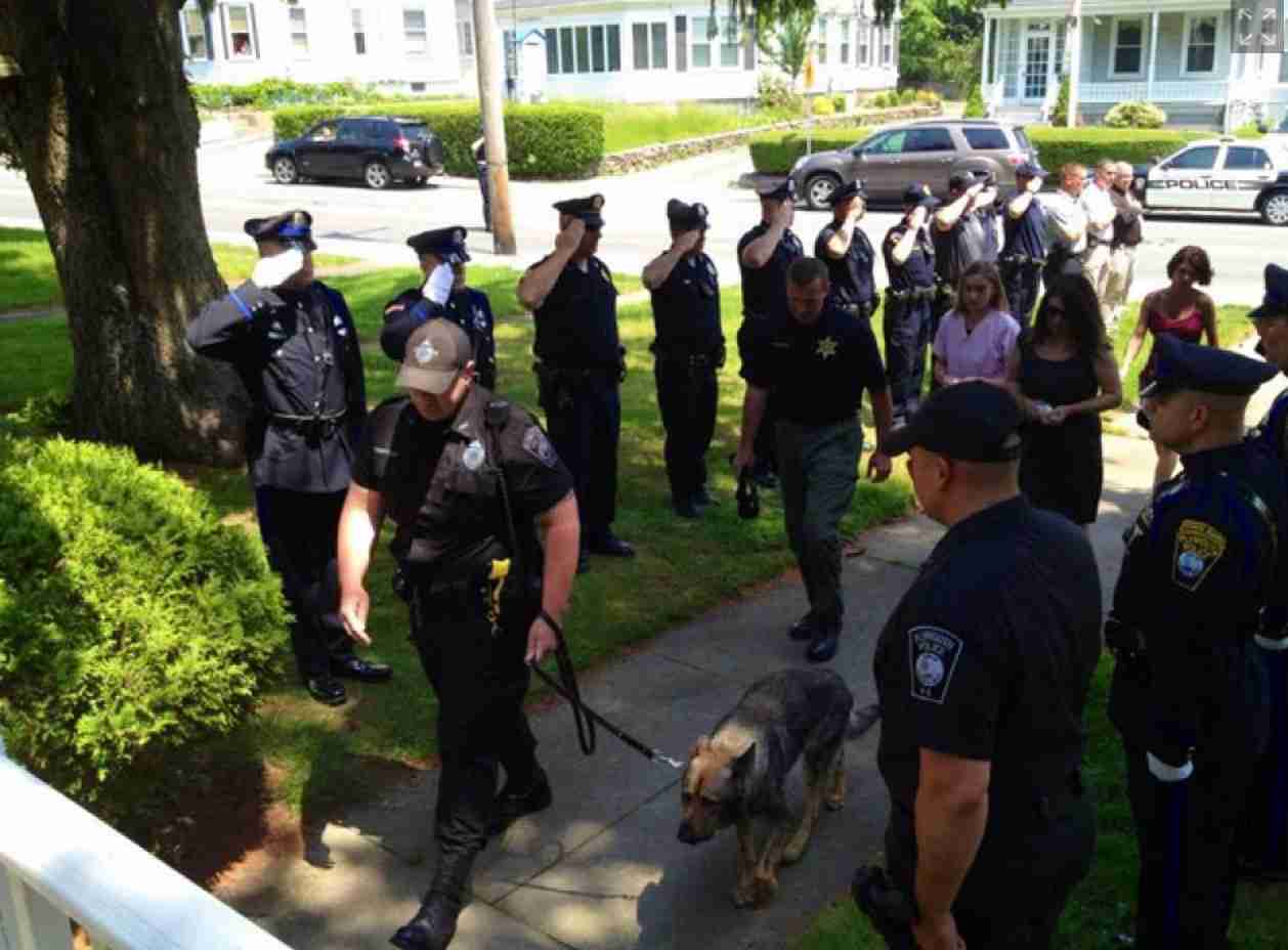 色んな警察犬、救助犬が見たい！