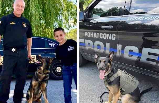 色んな警察犬、救助犬が見たい！