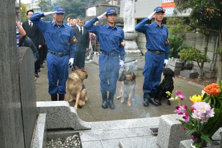 色んな警察犬、救助犬が見たい！