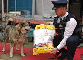 色んな警察犬、救助犬が見たい！