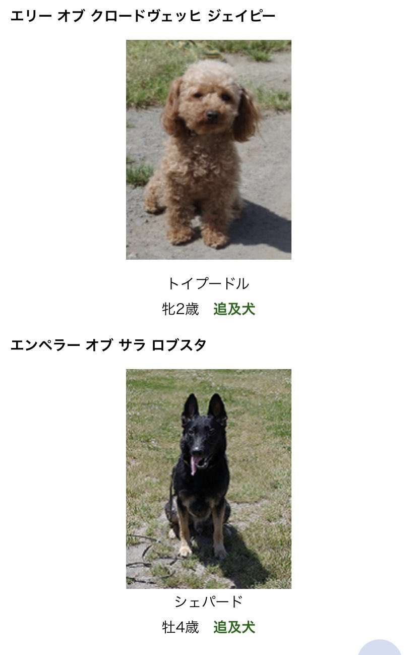 色んな警察犬、救助犬が見たい！