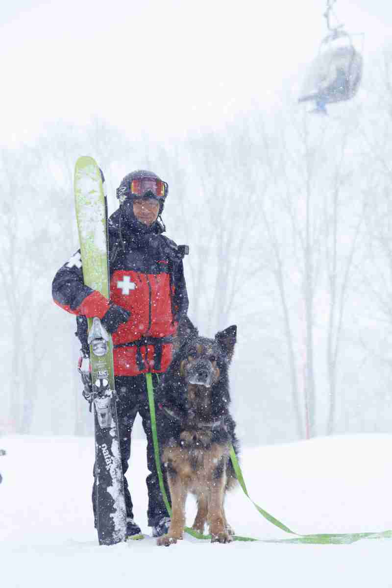 色んな警察犬、救助犬が見たい！