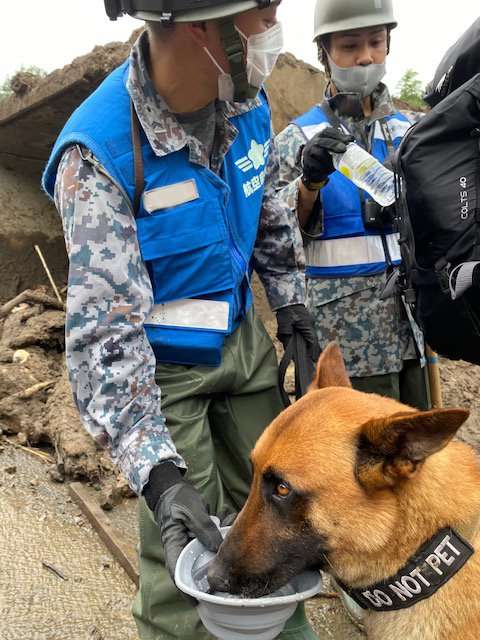 色んな警察犬、救助犬が見たい！