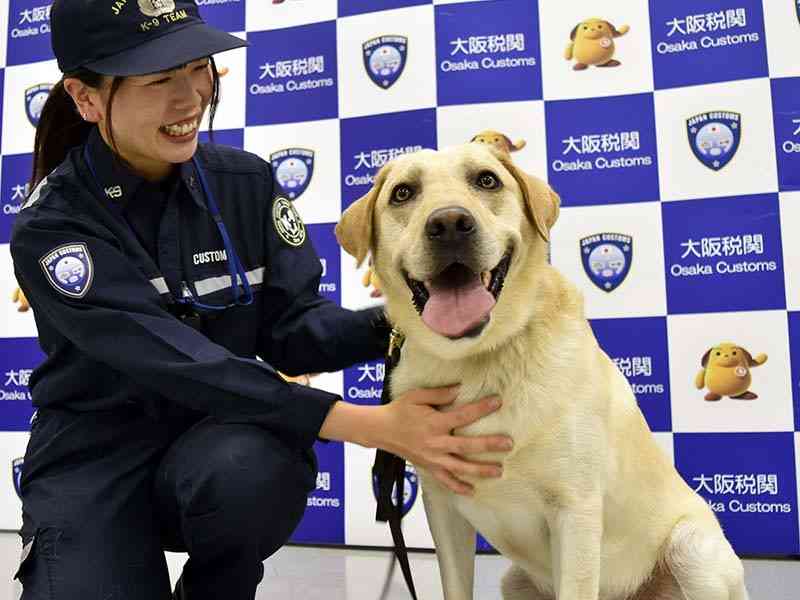 色んな警察犬、救助犬が見たい！