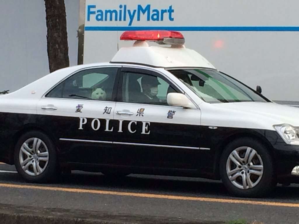 色んな警察犬、救助犬が見たい！