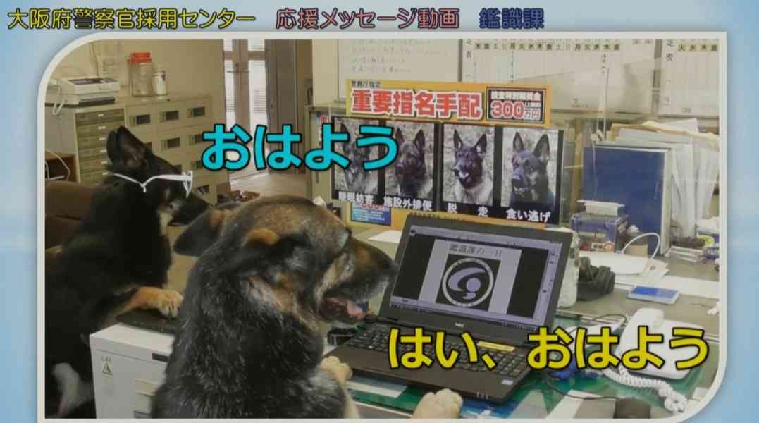 色んな警察犬、救助犬が見たい！