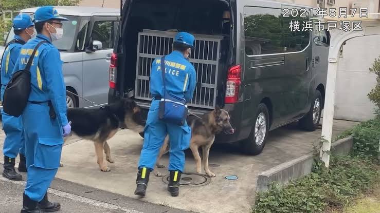 色んな警察犬、救助犬が見たい！